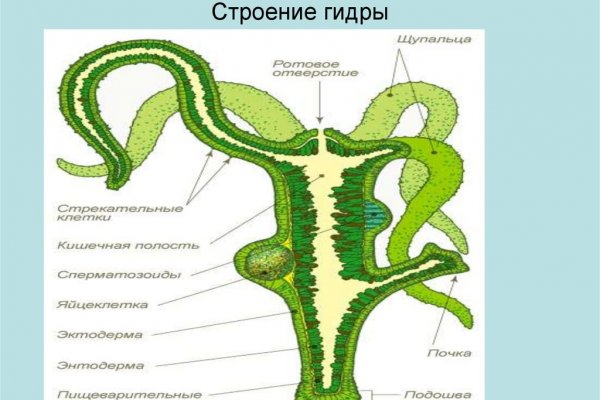 Кракен зеркало 2 веб