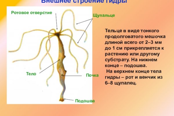 Активная ссылка кракен